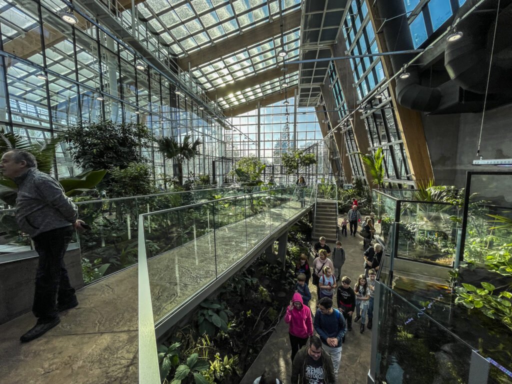 Oprócz zwierząt w Egzotarium można zobaczyć także dużo roślin.
