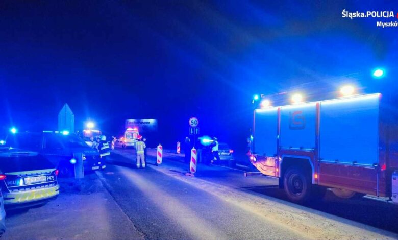 Przebiegał przez jezdnię. Nie żyje/fot.Śląska Policja