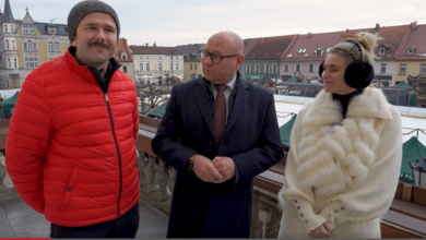 Śląska karuzela w Pszczynie