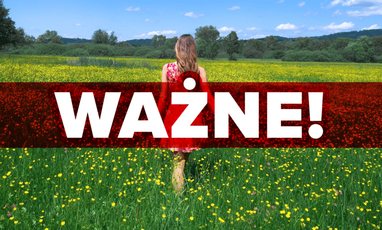 matura 2024
