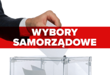 wybory