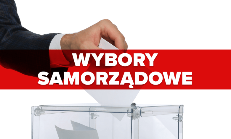 wybory