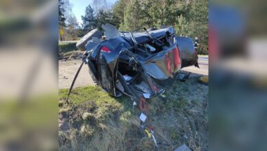 Za szybko. Kierowca audi zginął na miejscu/fot.Policja Lubelska