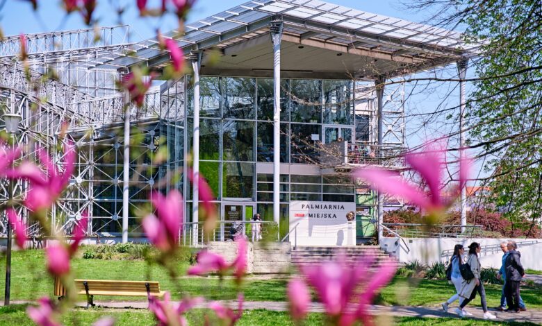 Gliwicka Palmiarnia ma 100 lat. Impreza 1 kwietnia/fot.UM Gliwice