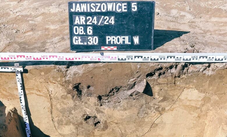 Odkrycie archeologiczne