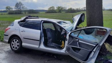 Peugeot uderzył w drzewo. Dwie osoby nie żyją/fot.Policja Lubelska