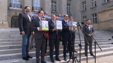 Wybory do Parlamentu Europejskiego WIDEO