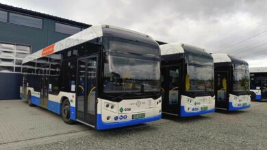 Rybnik. Miasto, które odrobiło lekcję z ekologii