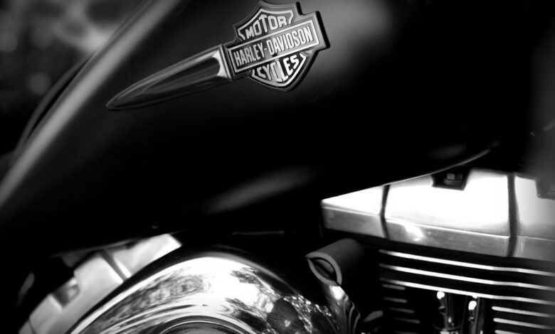 Motoserce w Pszczynie WIDEO/fot.pixabay.com
