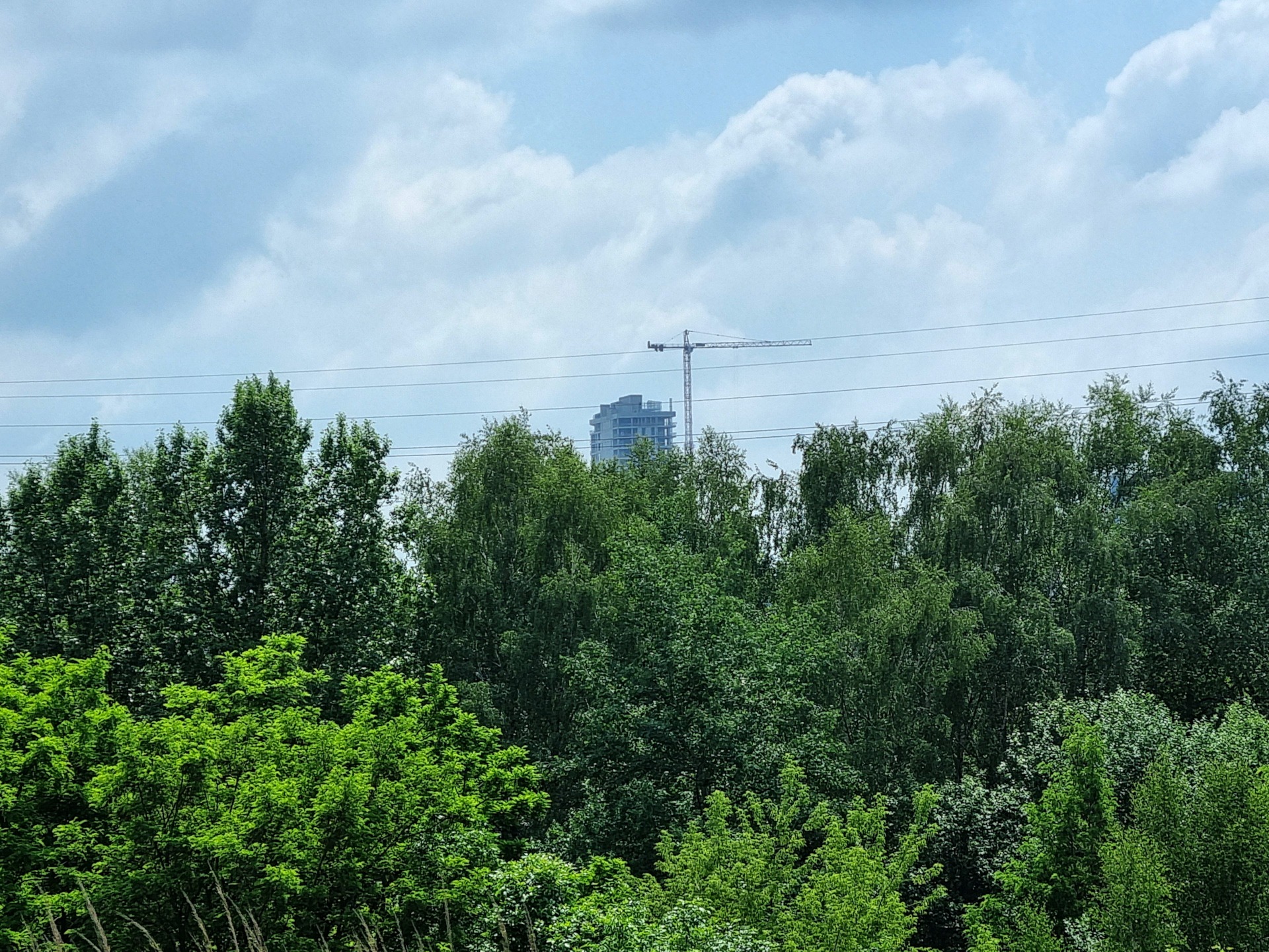 Wełnowiecka Hałda to świetny punkt widokowy w Katowicach