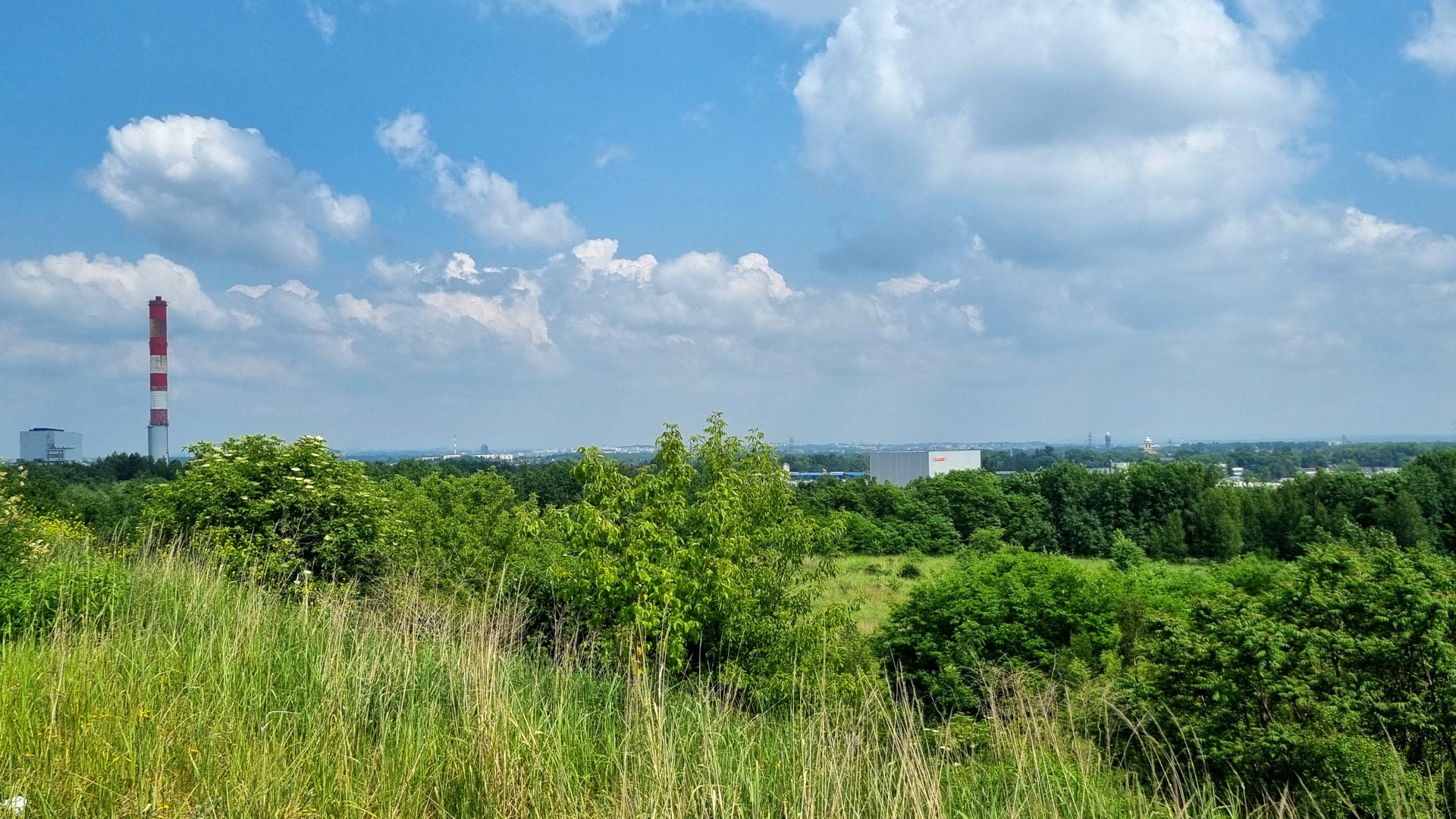 Widok z Wełnowieckiej Hałdy w Katowicach