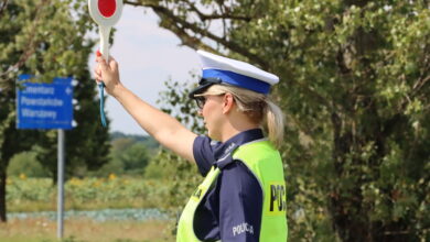 Prędkość. Policyjna akcja 1 lipca/fot.policja.pl