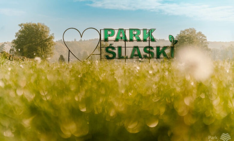 Piknik rodzinny w Parku Śląskim/fot.Park Śląski/fb