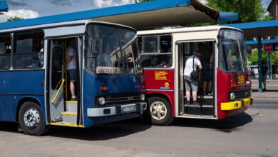 Ikarusy na ulicach Górnośląsko - Zagłębiowskiej Metropolii/fot.mat.prasowe