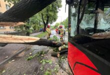 Śląskie: Drzewo przewróciło się na autobus. Kilka osób rannych/fot.Komeda Powiatowa PSP w Żywcu