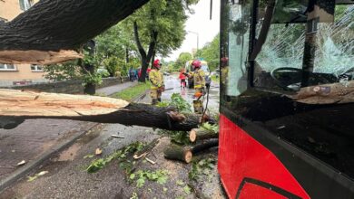 Śląskie: Drzewo przewróciło się na autobus. Kilka osób rannych/fot.Komeda Powiatowa PSP w Żywcu