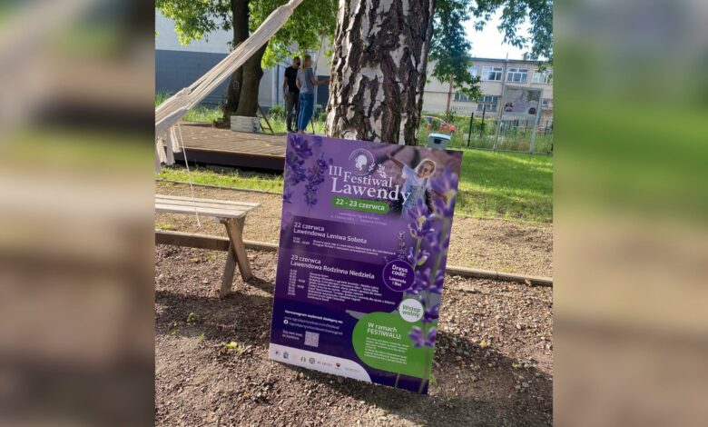 Festiwal Lawendy w Katowicach/fot.mat.prasowe