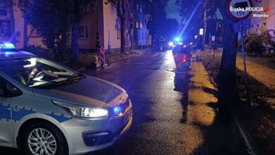 Wypadek w Mikołowie. 93-latka zmarła w szpitalu/fot.Policja Śląska