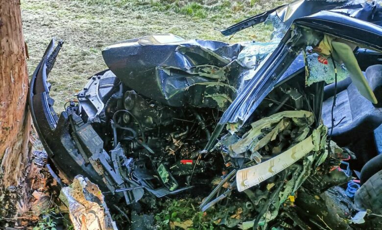 Uderzył w drzewo. Zginął na miejscu/fot.Policja Lubelska
