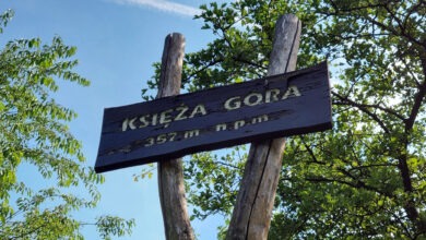 Park w Radzionkowie. Księża Góra. Fot. Tomasz Borówka