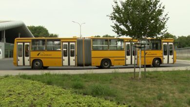 Wycieczka Ikarusem