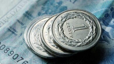 Rusza nabór wniosków o 300 złotych/fot.pixabay.com