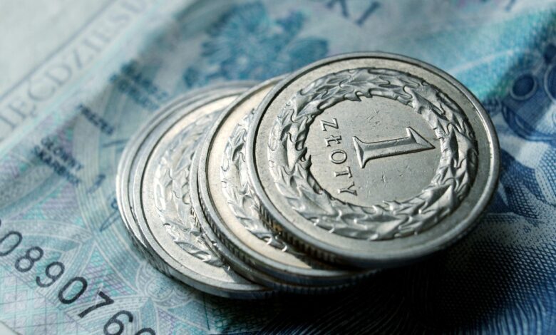 Rusza nabór wniosków o 300 złotych/fot.pixabay.com