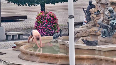 Surfing na żółwiu w fontannie/fot.policja.pl