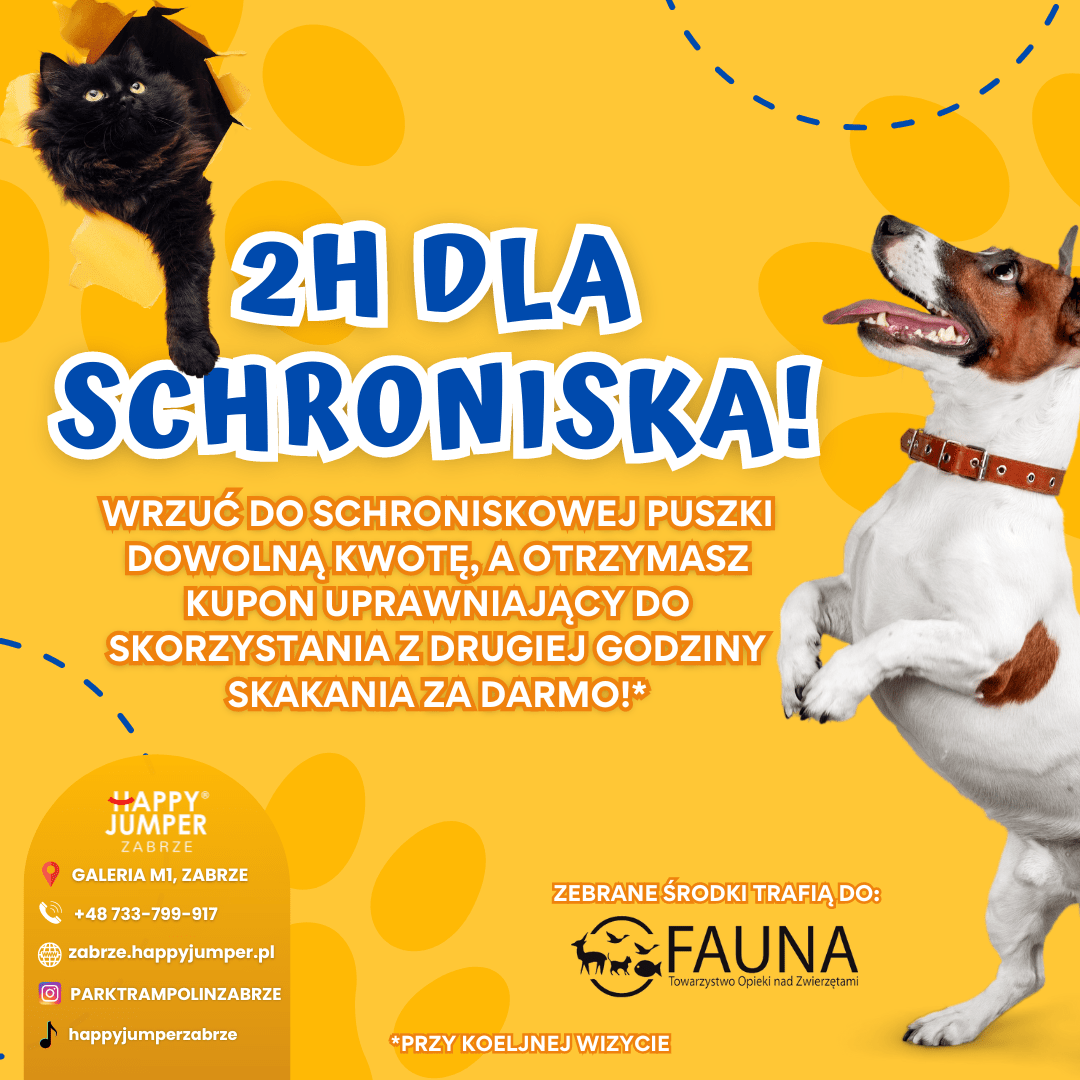 2H dla Schroniska
