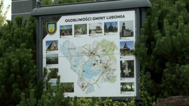 Śląskie: NIE dla budowy farmy fotowoltaicznej