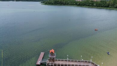 Pogoria III, Dąbrowa Górnicza