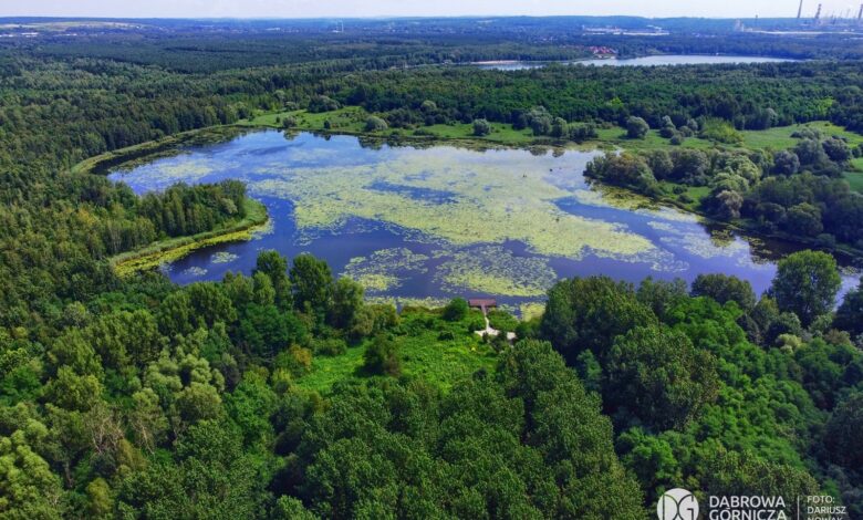 Pogoria II. Malownicze miejsce w Dąbrowie Górniczej/fot.UM Dąbrowa Górnicza