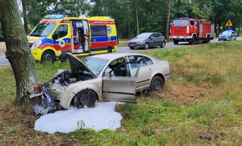Zjechał z drogi i uderzył w drzewo. Nie żyje/fot.Policja Lubelska
