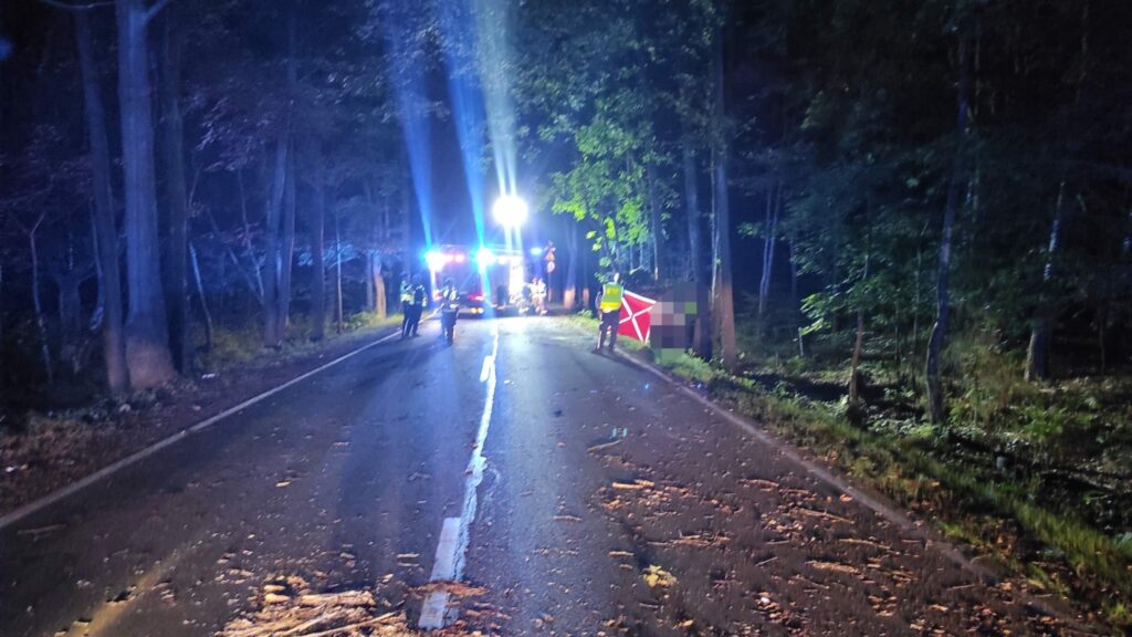 Śmiertelny wypadek w Mikołowie. Nie żyje 11-letnie dziecko. Fot. KPP w Mikołowie