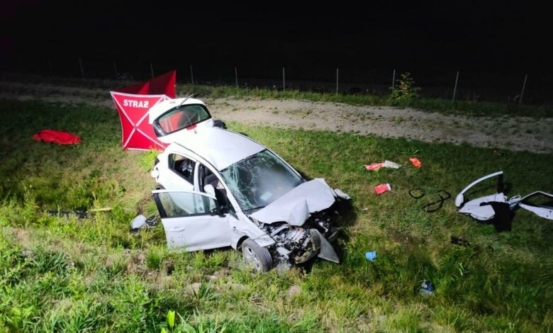 Tragedia w Zarzeczu. Nastolatka zginęła na miejscu/fot.Policja Podkarpacka