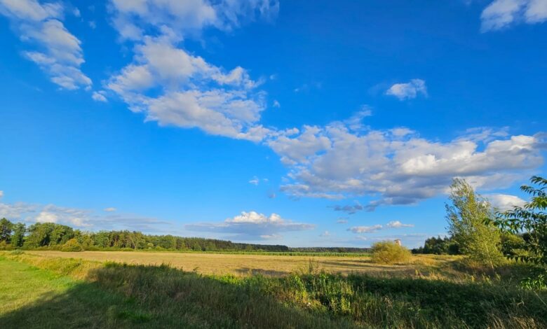 Wysokie temperatury i burze. Prognoza pogody na najbliższe dni/fot.IMGW