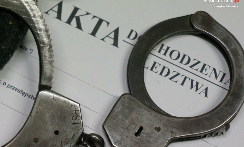 Śląskie: Nieuczciwa pracownica. Kobieta usłyszała ponad 100 zarzutów/fot.Śląska Policja