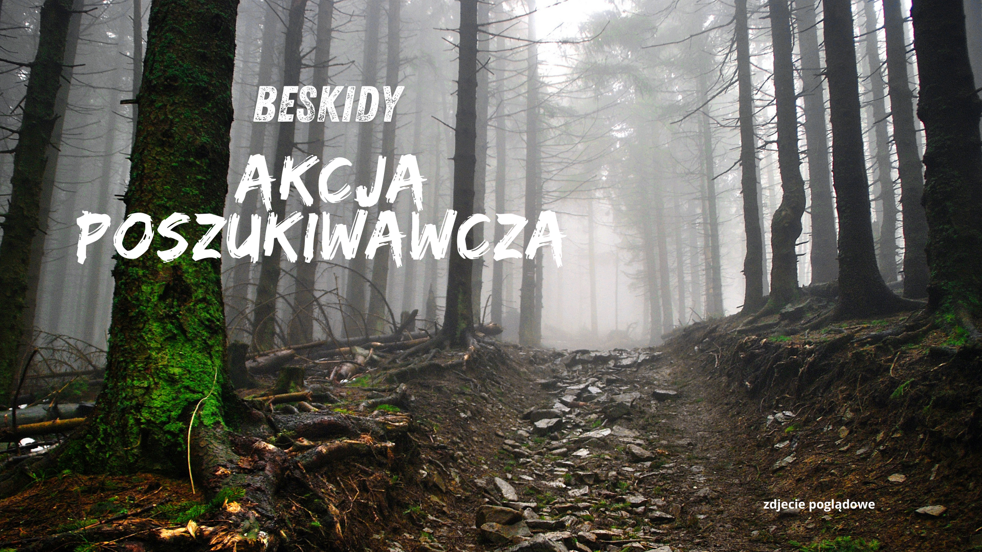 Akcja poszukiwawcza w Beskidach