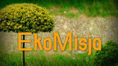 EKOMISJA