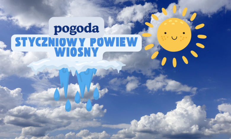 Styczniowy powiew wiosny
