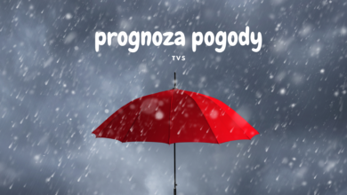 Prognoza Pogody