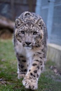 Śląski Ogród Zoologiczny