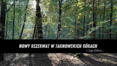 park repecki TG