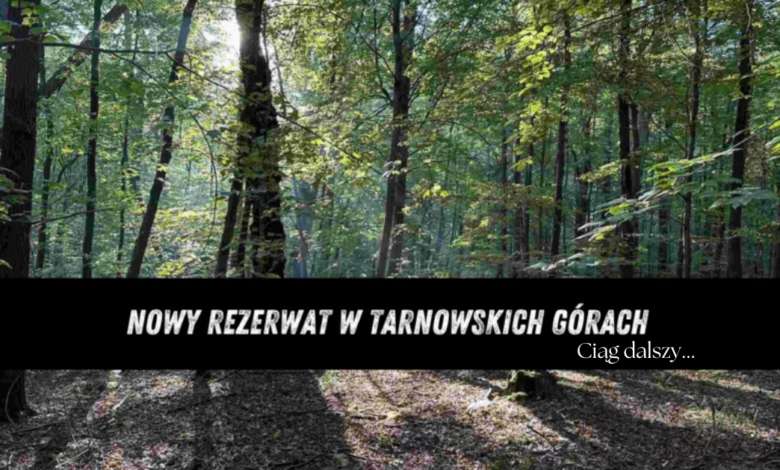 park repecki TG