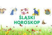 Śląski Horoskop grafika ze znakami zodiaku i wiosenna łąka