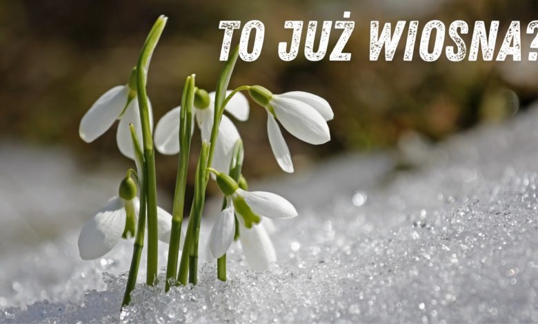meteorologiczna wiosna