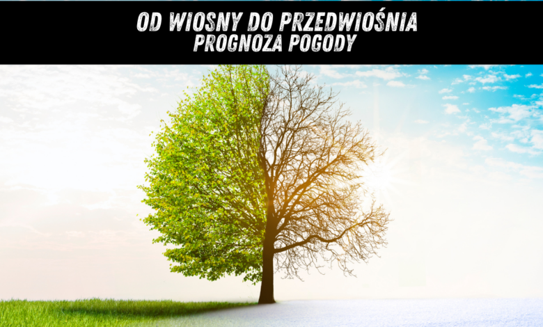 Prognoza pogody