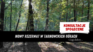 konsultacje park repecki