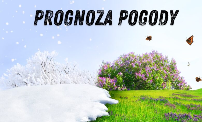 Prognoza Pogody