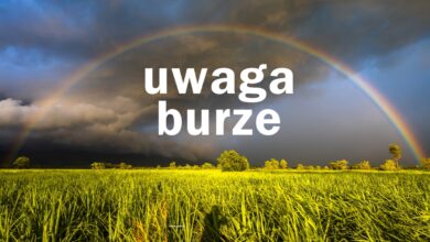 burze